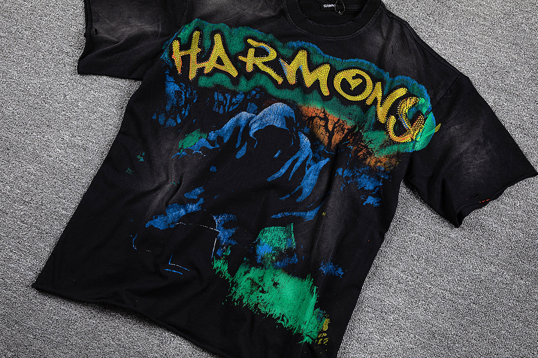 HARMONY Artistic Graphic Streetwear Tee